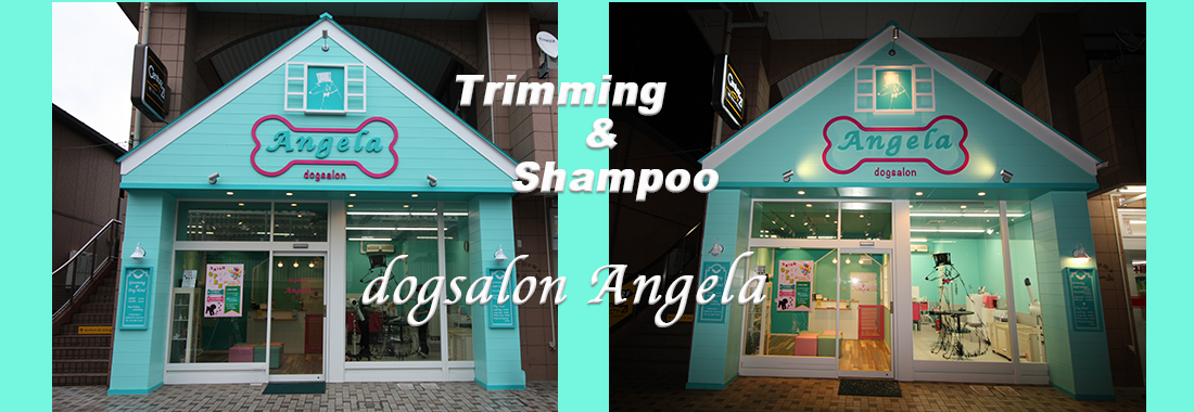 西武池袋線保谷駅北口にあるトリミングサロンです