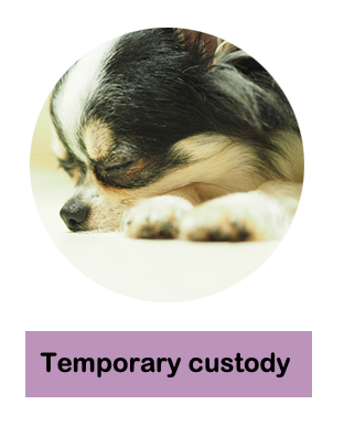 ペットホテルの説明