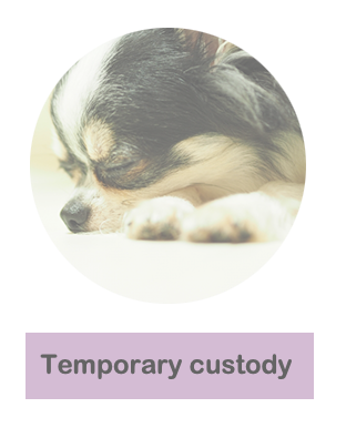 ペットホテルの説明