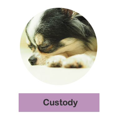 ペットホテルのボタン