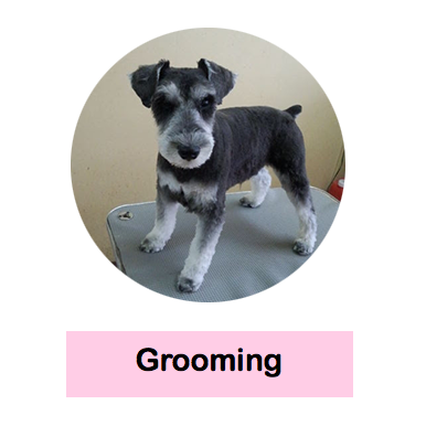 トリミングのボタン